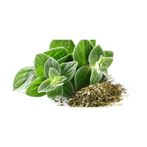 Nabat Fresh Greek Oregano - 25gm