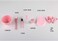 Generic 9Pcs DIY Mask Kit Bowl Soaking Bottle Spoon Puff Spatula Brush Spray (Pink)