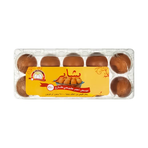 بشاير بيص أحمر - 10 قطع