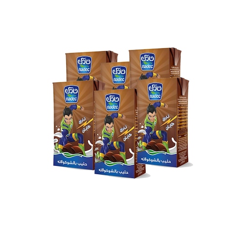 Nadec Milk Chocolate Flavor 125 Ml 6 Pieces