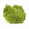 Lettuce Lollo Bionda Pack