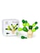 Plantoys Wooden Balancing Cactus