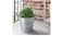 Plant pot, in/outdoor/galvanised, 24 cm