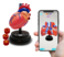 Eastcolight Ar Cardiology Professional Model