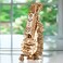 Ugears - Hurdy-Gurdy - 292 Parts - 3D Wooden Puzzle - Mechanical Model - UGR-70030
