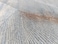 Vital Carpet For Living Room, Bedroom And Dining Room, Soft Fluffy Carpets For Living Room, Bedroom Anti-Slip Rugs For Kids Room, Indoor Home Decorative Carpet 823 Size: 160X230cm