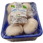 Buy MUSHROOM WHITE 250G in Kuwait