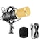 Neewer NW-800 Pro Cardioid Studio Condenser Microphone Set with Shock Mount, Ball-type Anti-wind Foam Cap, 3.5mm to XLR Audio Cable for Recording Broadcasting YouTube Live Periscope (Black(gold))
