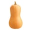 BUTTERNUT LOOSE