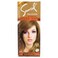 Samsol Hair Color No Ammonia 39 Light Brown 50 ml