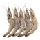 Fresh Shrimps