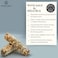 AWAFI MILL Sage Smudge Stick Wild Rue Bundle - Pack of 3