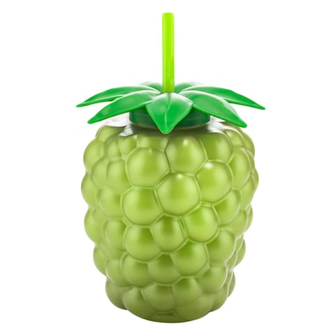 QLUX GRAPE WATER BOTTLE WITH STRAW