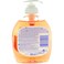 Palmolive Hygiene Plus Family liquid Handwash 300ml