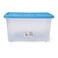 Dea Home Twin Flap Storage Box Blue And Clear 17L