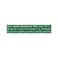 Smint Gum Peppermint Dispenser 8GR