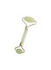 Generic - Jade Facial Mage Roller Green