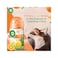 Air Wick Automatic Air Freshener Spray Kit with Gadget &amp; Refill Sparkling Citrus Scent 250ml