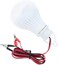 Outdoor Energy Saving LED Bulb - DC12V L