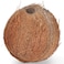 Dry Coconut Per pc