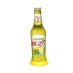 Buy Buzz Sparkling Fruit Drink with Lemon Mint - 300 ml in Egypt