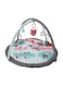 Moon Perky Baby Playmat And Activity Gym Gray