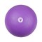 Livepro Exercise Ball With Footpump - 55cm - Purple