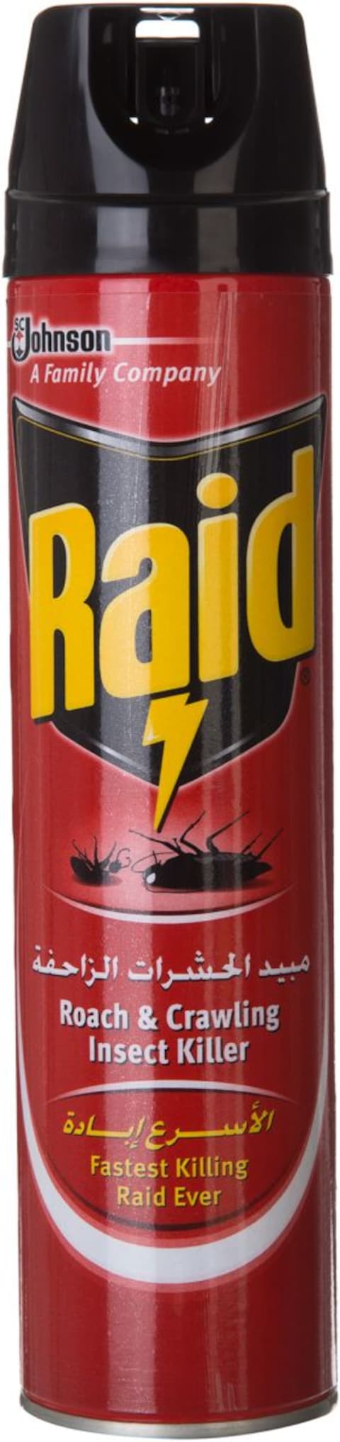 Raid Crawling and Flying Insect Killer - 400ml