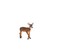 Toy School - White Tailed Deer Doe Figurine
