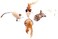 Meetion 4Pcs Portable Cat Toys Mouse Fish Ball Feather Toy With Mint Cat Teaser Pet Toy