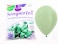 Sempertex 50pcs, 12'' Round Balloons, 20000838 12-Inch Latex Balloons, Solid Green