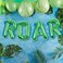 GingerRay - Dinosaur Party Roar Balloon Bunting 16in 4pcs - Green