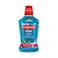 Colgate Mouthwash Plax Pepermint 500ML