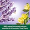 Palmolive Aroma Absolute Relax Shower Gel Purple 250ml Pack of 2