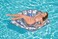 Bestway Iridescent Shell Lounge 185X114