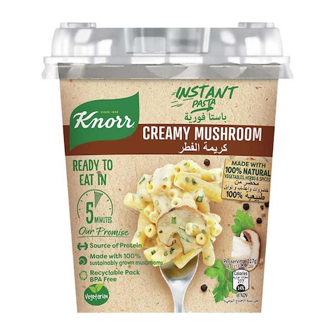 Knorr Instant Creamy Mushroom Pasta -  67 gm