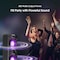 Hisense Party Speaker Hp130