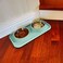 Cat Food Bowls, Cat Bowls Non-Skid and Non-Spill Silicone Mats with Stand, Removable Stainless Steel Food and Water Dishes for Cats, Small Size Dogs