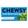 Chewsy Plant Based Pappermint Chewing Gum 15 gr
