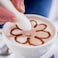 Generic -Electric Spice Pen For Food And Coffee Decoration