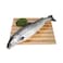 Fresh Norwegian Salmon Fish