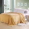 Fabienne Silky Plain Microfiber Bed Blanket Double Size Beige