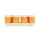 Frutti Orange Flavoured Drink 225ml&times;12
