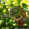 Eugy 075 Chameleon Eco-Friendly 3D Paper Puzzle [New Seal]