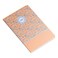 Ambar A4 Moon Flower Themed 22 Notebook Multicolour