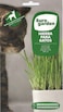 Euro garden Cat grass