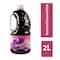 Savanah Punch Fruit Drink 2L