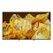 Sony X80L Series 65-Inch UHD Smart Google LED TV KD65X80L Black