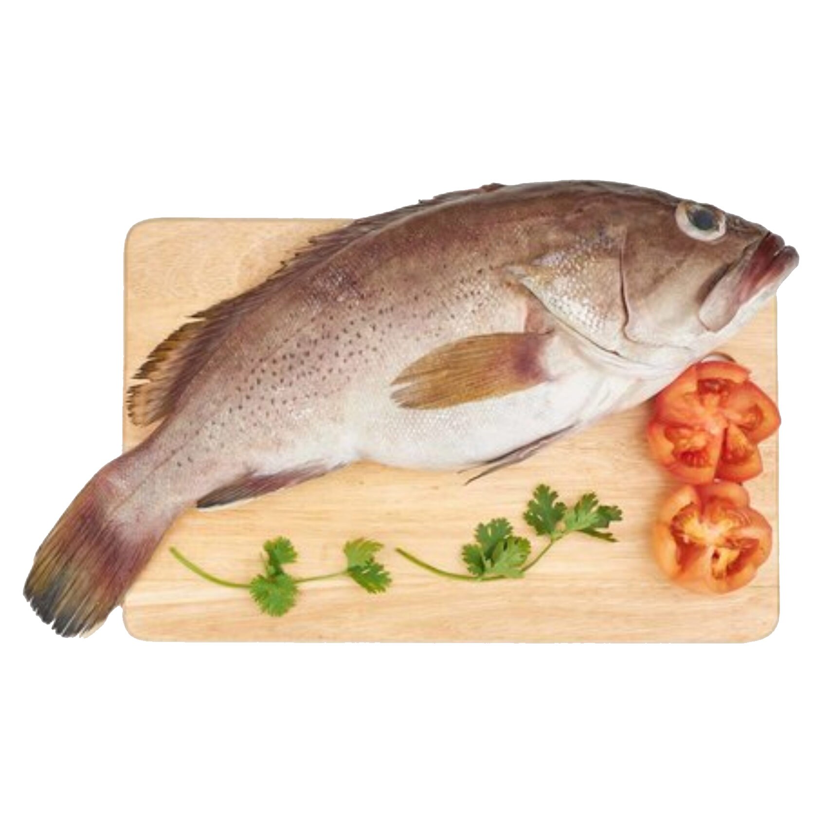 Sumayan Fish Buy Suman Whole Round Fish Online | Carrefour UAE