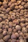 Red Beets